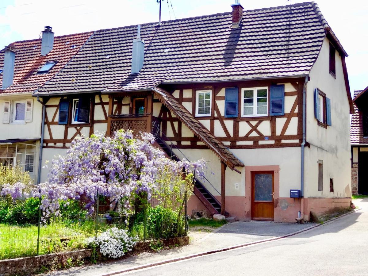 Appartement La Couette Enchantée - Parking - Zimmerbach